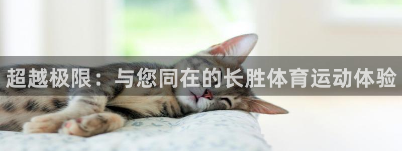 JJB竞技宝官方正版app五金厂:超越极限:与您同在的长胜体