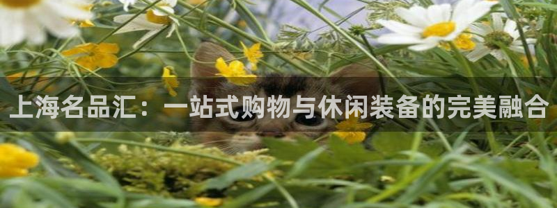 JJB竞技宝官方正版app代理:上海名品汇:一站式购物与休闲