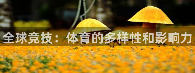 JJB竞技宝官网下载招商电话:全球竞技:体育的多样性和影响力
