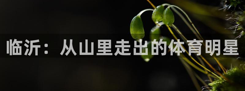 海南JJB竞技宝官网下载发展怎么样:临沂:从山里走出的体育明